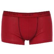 Esprit 3P Cole Hipster Shorts Blau/Rot Baumwolle Small Herren