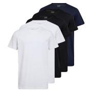 Claudio 5P Cotton T-Shirt Mixed Baumwolle Small Herren