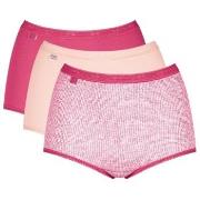 Sloggi 3P Basic Plus Maxi Colored Multi-colour-2 Baumwolle 38 Damen