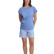 Calida Lovely Nights Short Pyjama Hellblau Baumwolle Medium Damen