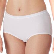 Schiesser Luxury Brief Weiß Baumwolle Small Damen