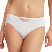 Calida Desire Mini Brief Weiß Baumwolle Small Damen