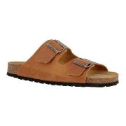 Axelda Andrea Kamel Gr 36