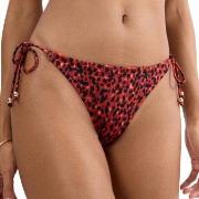 Triumph Midnight Swim Brazilian Bikini Bottom Rot/Schwarz 38 Damen