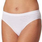 Schiesser Pure Rib Organic Cotton Rio Briefs Weiß 38 Damen