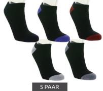 5 Paar SOCKSWEAR Baumwoll-Strümpfe Sneaker-Socken Voll-Frottee Socken ...