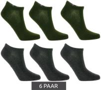 6 Paar TASTIQ Sneaker-Socken schlichte Baumwoll-Socken in Geschenkbox ...