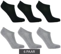 6 Paar TASTIQ Sneaker-Socken schlichte Baumwoll-Socken in Geschenkbox ...