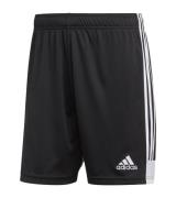 adidas Tastigo 19 Herren nachhaltige Sport-Shorts Trainings-Shorts mit...