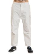 Edwin Sentinel Chino Nebel
